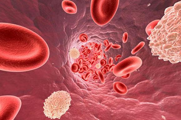 как поднять лейкоциты в крови после химиотерапии