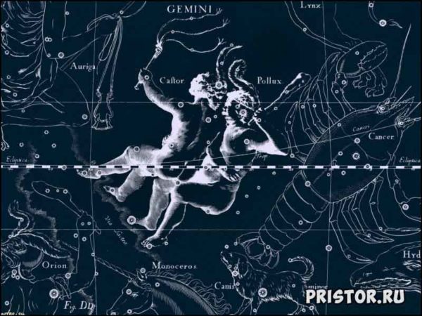 Год Петуха - гороскоп близнецы на 2017 год женщина и мужчина