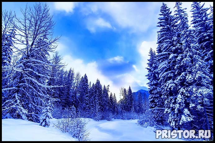 Красивые фото зимней природы, зима - красивые фото природы 10