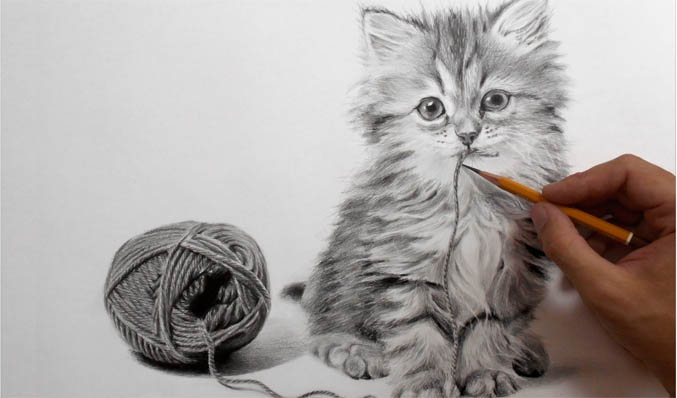 Рисунок кошки карандашом - прикольные и красивые картинки 8