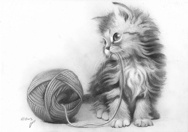 Рисунок кошки карандашом - прикольные и красивые картинки 9
