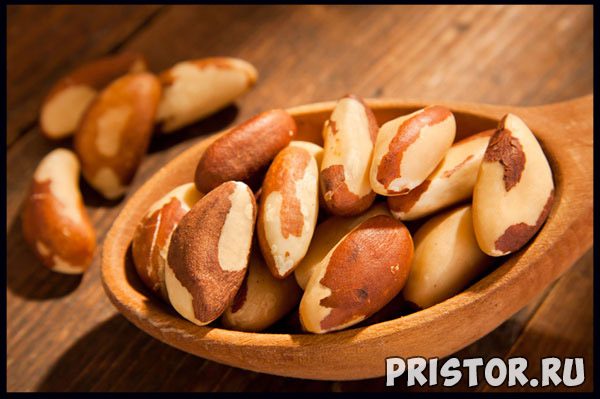 Бразильский орех - полезные свойства и противопоказания 1