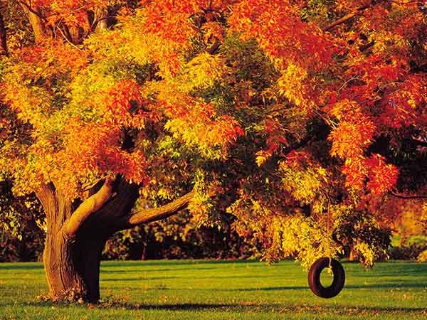 Картинки осень природа, красивые фото осени природа 9