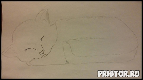 Как нарисовать котенка поэтапно карандашом - смотреть с фото 3