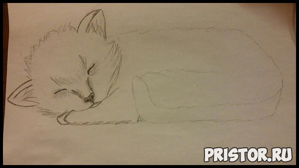 Как нарисовать котенка поэтапно карандашом - смотреть с фото 4