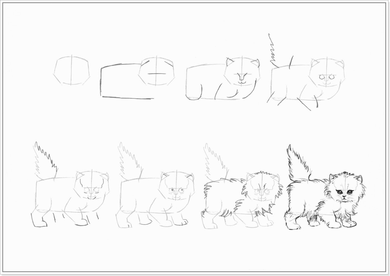 Как нарисовать котенка поэтапно карандашом - смотреть с фото 6