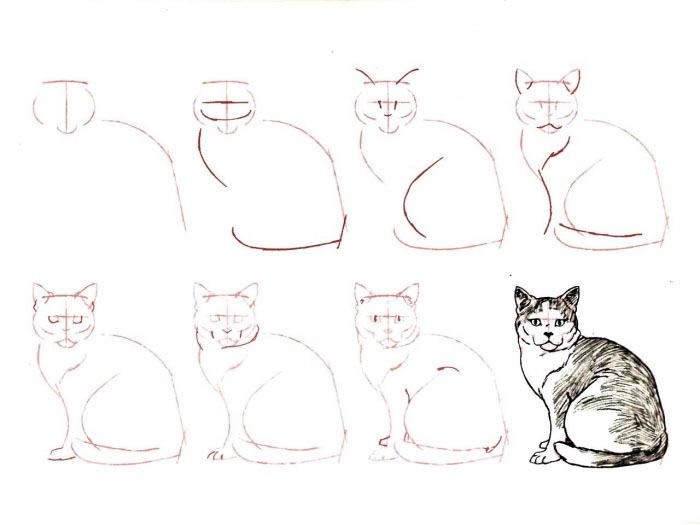 Как нарисовать котенка поэтапно карандашом - смотреть с фото 7