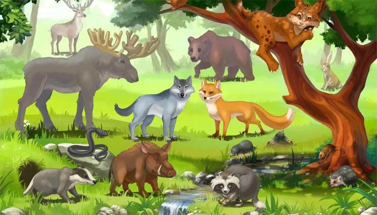 Картинки домашних животных для детского сада - красивые и прикольные 10
