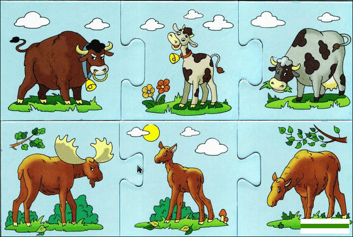Картинки домашних животных для детского сада - красивые и прикольные 3