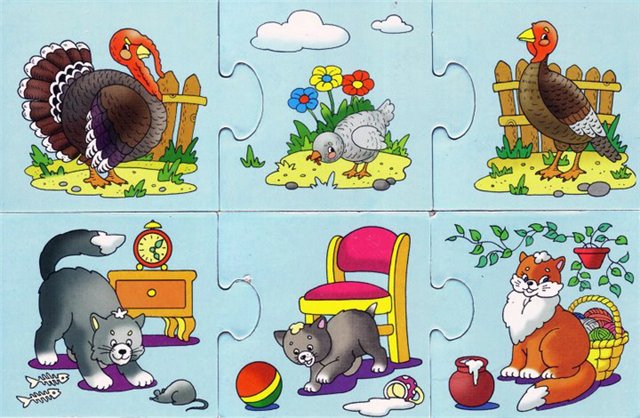 Картинки домашних животных для детского сада - красивые и прикольные 6