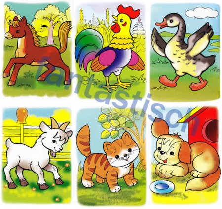 Картинки домашних животных для детского сада - красивые и прикольные 9