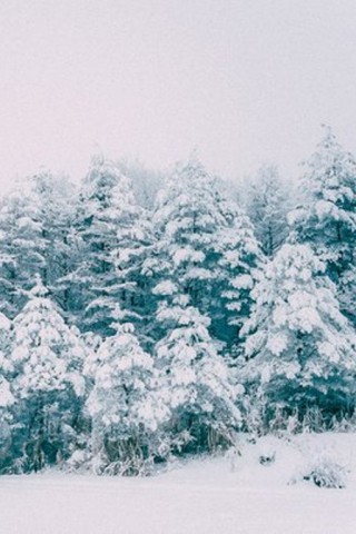 Картинки зима на телефон - красивые и прикольные скачать бесплатно 2