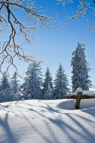 Картинки зима на телефон - красивые и прикольные скачать бесплатно 20