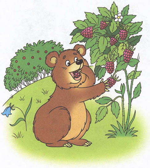 Медведь картинки для детей, медвежонок картинки для детей 3