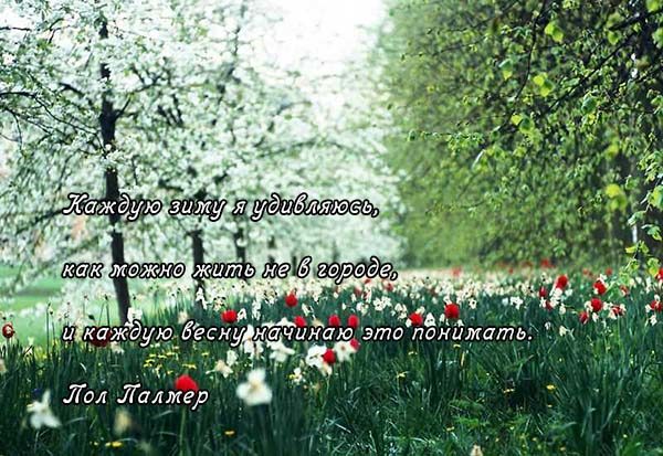 Весна цитаты красивые, прикольные, мудрые, грустные - читать 9
