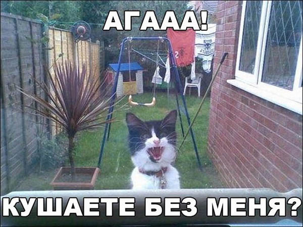 %D0%9F%D1%80%D0%B8%D0%BA%D0%BE%D0%BB%D1%8C%D0%BD%D1%8B%D0%B5-%D0%BA%D0%B0%D1%80%D1%82%D0%B8%D0%BD%D0%BA%D0%B8-%D1%80%D0%B6%D0%B0%D1%87%D0%BD%D1%8B%D0%B5-%D1%81%D0%BC%D0%B5%D1%88%D0%BD%D1%8B%D0%B5-%D1%81%D0%BC%D0%BE%D1%82%D1%80%D0%B5%D1%82%D1%8C-%D0%B1%D0%B5%D1%81%D0%BF%D0%BB%D0%B0%D1%82%D0%BD%D0%BE-19.jpg
