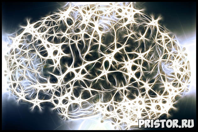 Интересные факты о мозге человека - 20 невероятных фактов 3