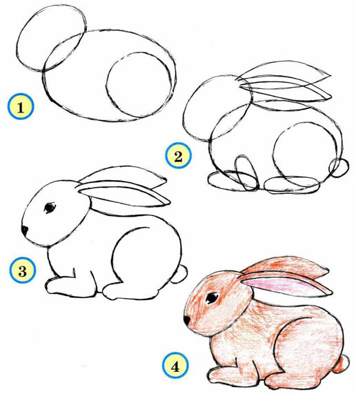 Как рисовать животных поэтапно карандашом для начинающих 1