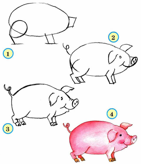 Как рисовать животных поэтапно карандашом для начинающих 10