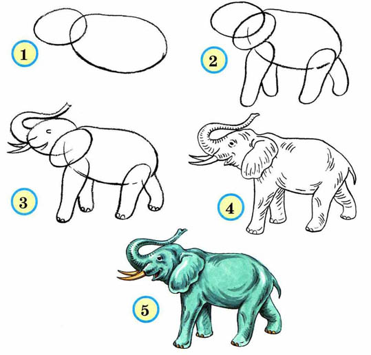 Как рисовать животных поэтапно карандашом для начинающих 2