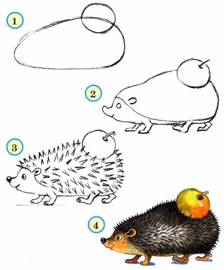 Как рисовать животных поэтапно карандашом для начинающих 4