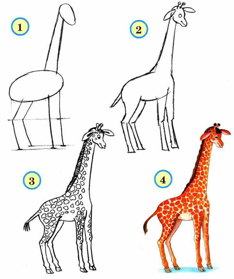 Как рисовать животных поэтапно карандашом для начинающих 6
