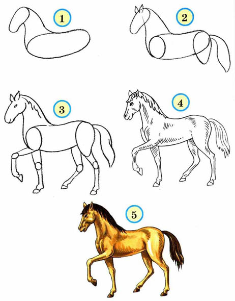 Как рисовать животных поэтапно карандашом для начинающих 9
