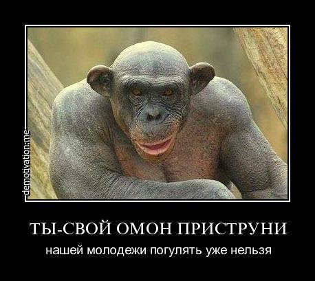 Картинки и фото обезьян - приколы, юмор, смех, с надписями 12