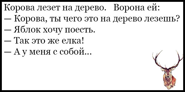 Очень смешные статусы до слез в картинках