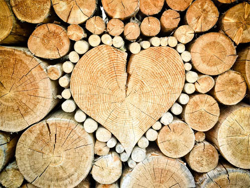 Как защитить древесину от гниения, влаги, разрушения - рекомендации 1