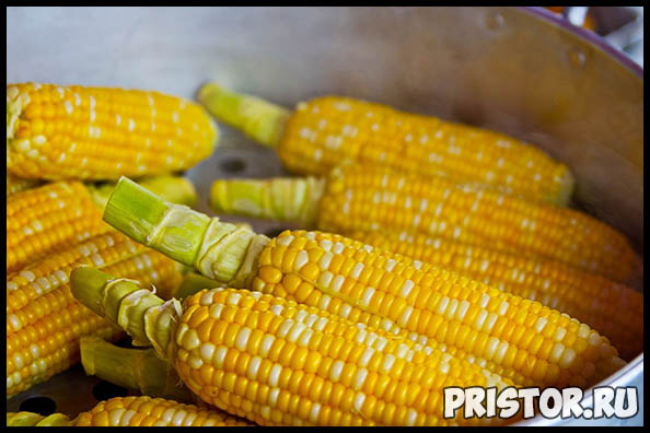 Как правильно и сколько варить кукурузу по времени - важные советы 1