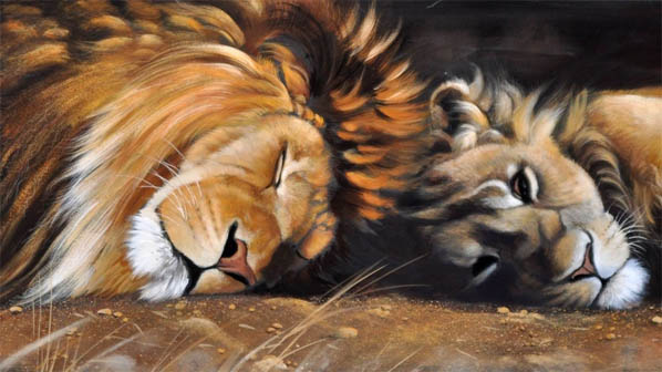 Красивые картинки львов и львиц - удивительные, прикольные и крутые 11