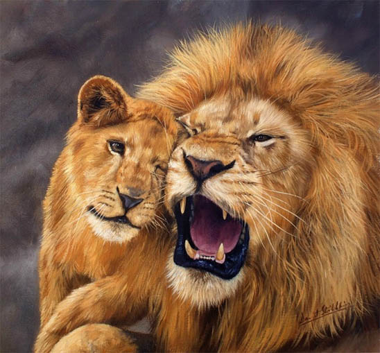 Красивые картинки львов и львиц - удивительные, прикольные и крутые 7