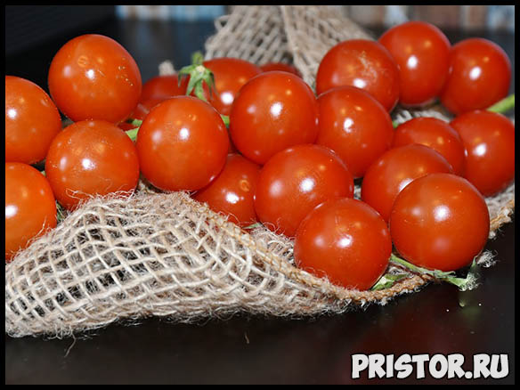 Почему не завязываются помидоры в теплице - советы и рекомендации 3