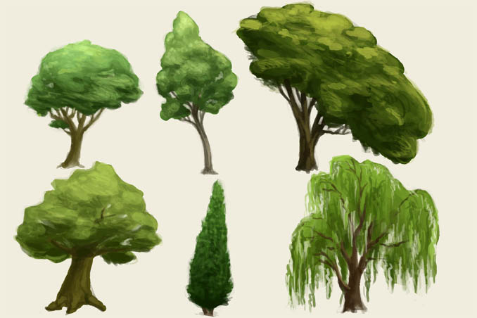 Как рисовать деревья карандашом поэтапно - хвойные и лиственные 3