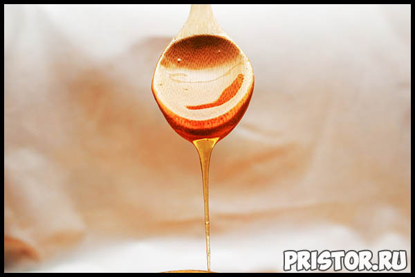 Можно ли заменить сахар медом, сахарной пудрой или фруктозой 2