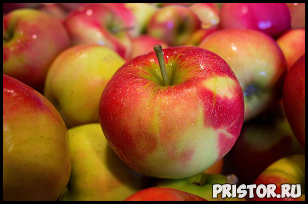 Как выбрать правильное яблоко и хранить их - основные рекомендации 1