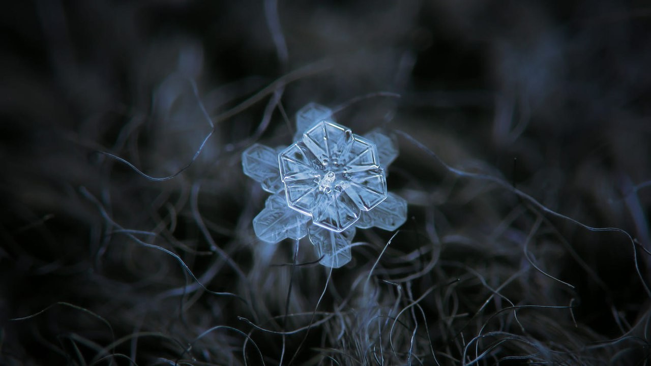 Макрофотография снежинок - самые удивительные и невероятные фото 11