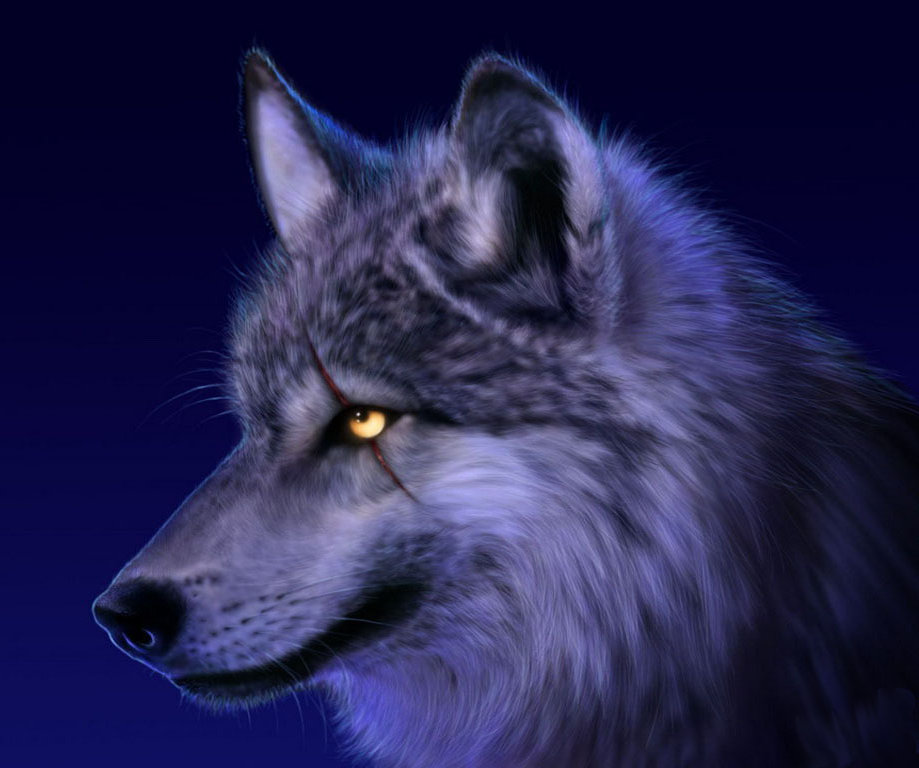 Красивые и прикольные картинки волка на аватарку - скачать бесплатно 1