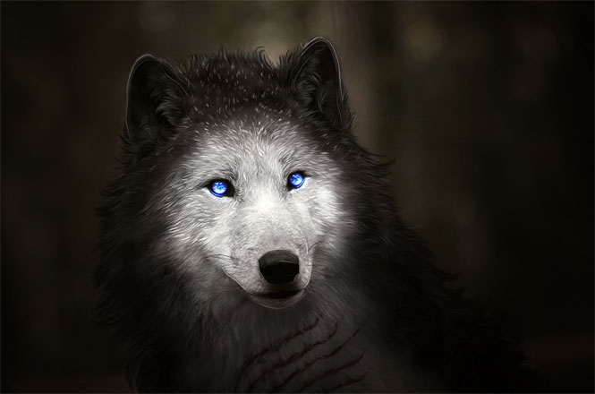 Красивые и прикольные картинки волка на аватарку - скачать бесплатно 5