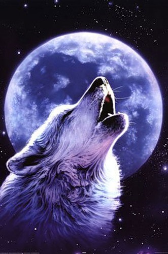 Красивые и прикольные картинки волка на аватарку - скачать бесплатно 8