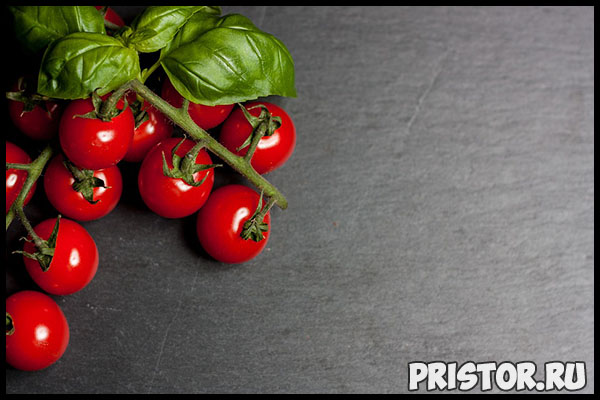 Выращиваем помидоры «черри» в домашних условиях - уход и высадка 3