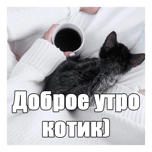Доброе утро котик - самые красивые и приятные открытки, картинки 2