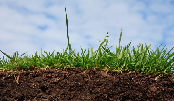 Как снизить кислотность почвы на огороде - несколько рекомендаций 1