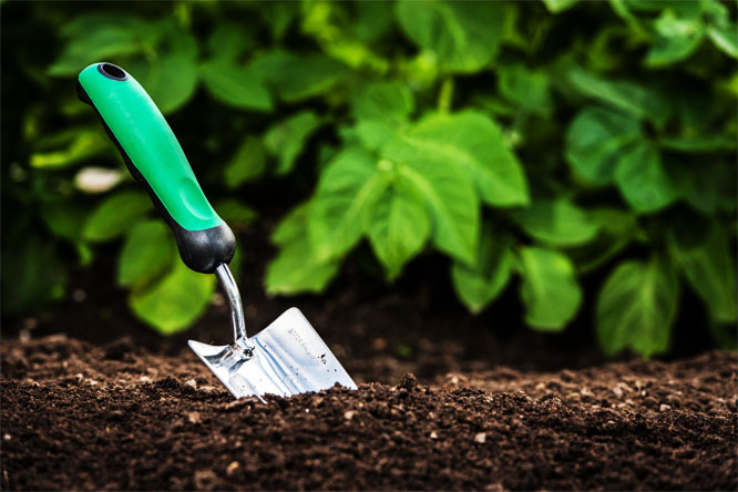 Как снизить кислотность почвы на огороде - несколько рекомендаций 2
