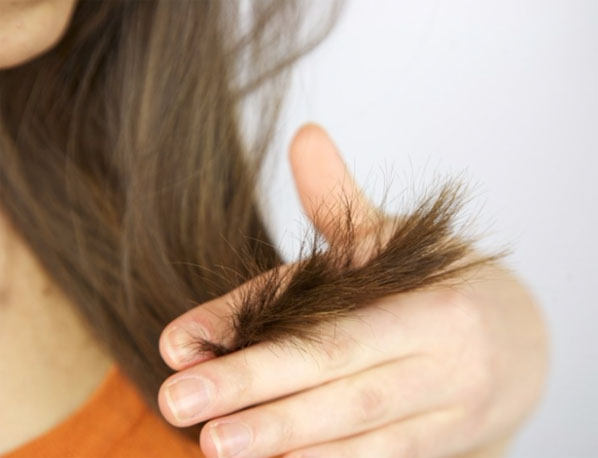 Что делать если секутся кончики волос - причины и лечение дома 2