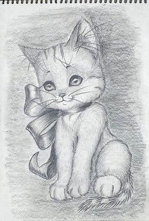 Картинки кошек и котят для срисовки - очень красивые и прикольные 2