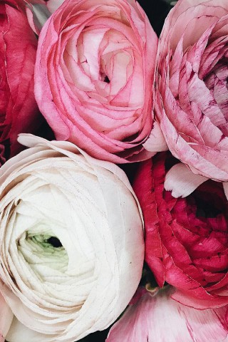 Картинки на телефон букеты и цветы - самые красивые и удивительные 16
