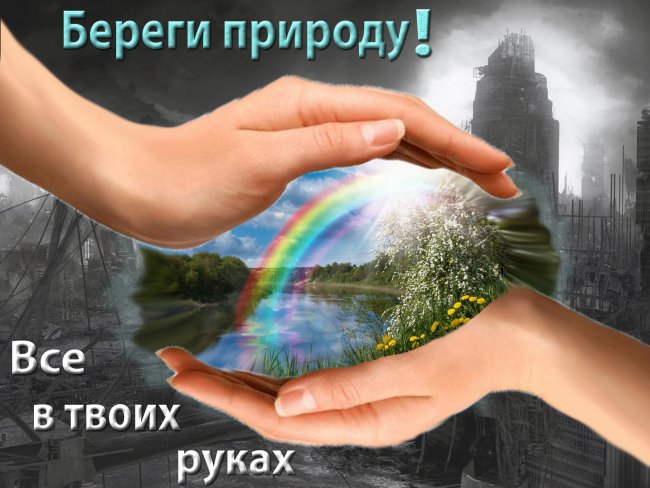 Что можно сделать хорошего для природы рисунок