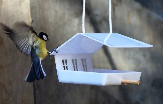 Как сделать кормушку для птиц своими руками - идеи из дерева, бутылки, коробок 24